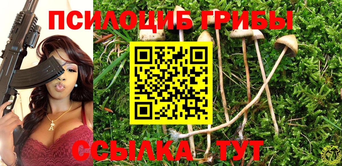 Зеленогорск  Псилоцибиновые грибы прущие грибы  Вход с VPN  Галлюциногенные грибы MAGIC MUSHROOMS 